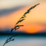 66cf5d2dd5655 bpthumb
